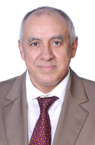 عبد الحليم المنصوري