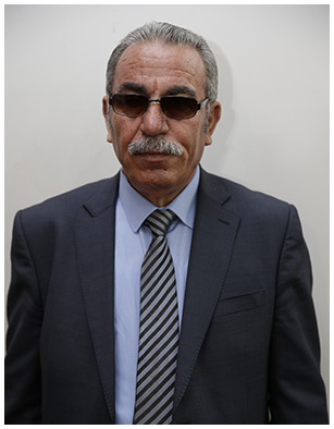 محمد البكاوي