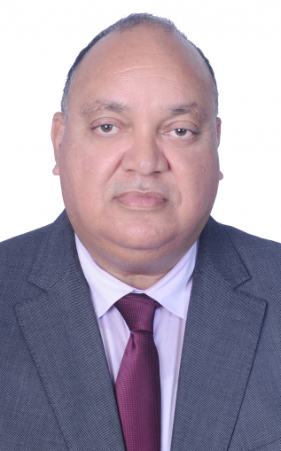 محمد الحافظ