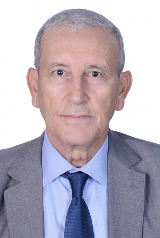 محمد ابراهيم البوفريسي